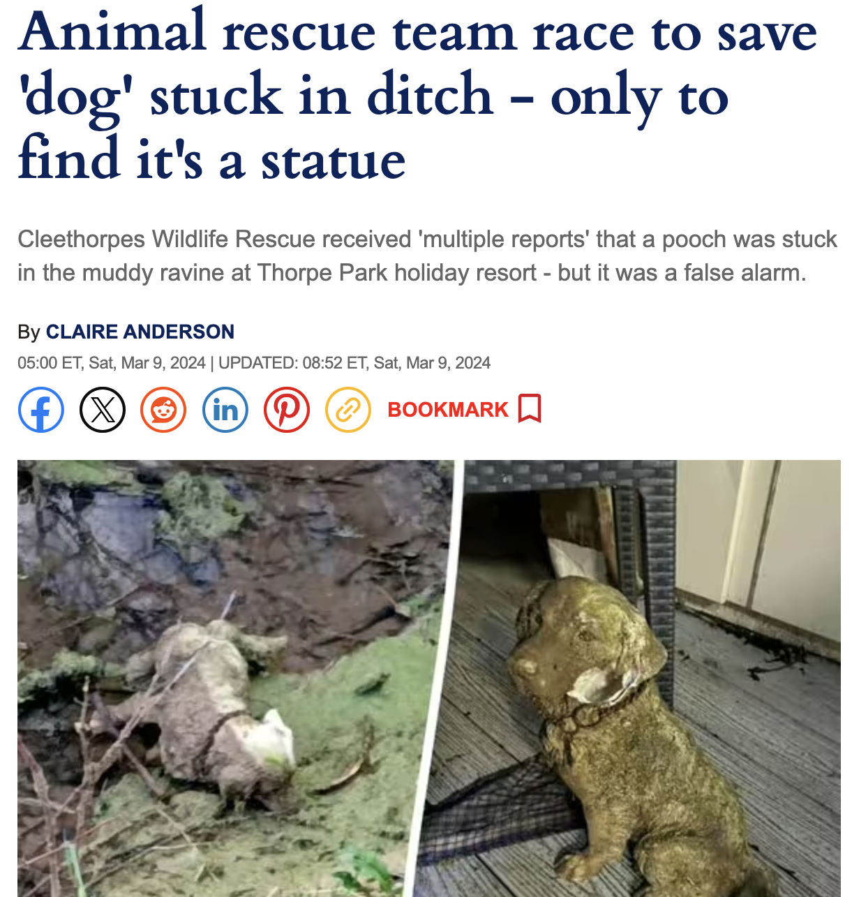 fauna - Animal rescue team race to save 'dog' stuck in ditch only to find it's a statue Cleethorpes Wildlife Rescue received 'multiple reports' that a pooch was stuck in the muddy ravine at Thorpe Park holiday resort but it was a false alarm. By Claire An